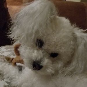 Meet your Posher, Lisa